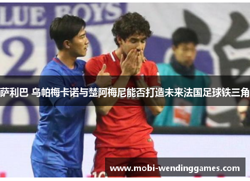 萨利巴 乌帕梅卡诺与楚阿梅尼能否打造未来法国足球铁三角