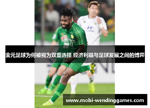 金元足球为何被视为双重选择 经济利益与足球发展之间的博弈