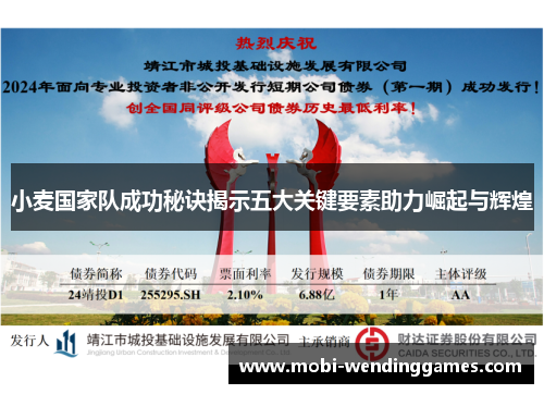 小麦国家队成功秘诀揭示五大关键要素助力崛起与辉煌